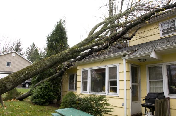 Hurricane Damage Repair in Niceville